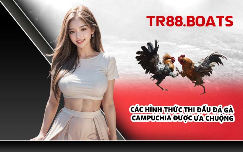 Các hình thức thi đấu đá gà Campuchia được ưa chuộng