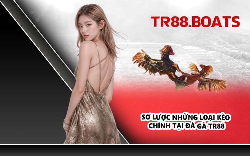 Sơ lược những loại kèo chính tại đá gà TR88