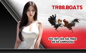 Sức hút của các trận đá gà Campuchia