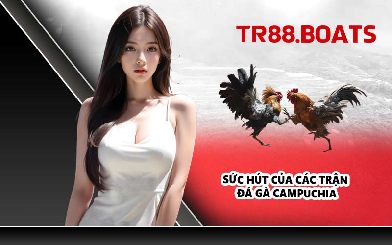 Sức hút của các trận đá gà Campuchia