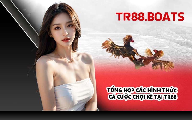 Tổng hợp các hình thức cá cược chọi kê tại TR88